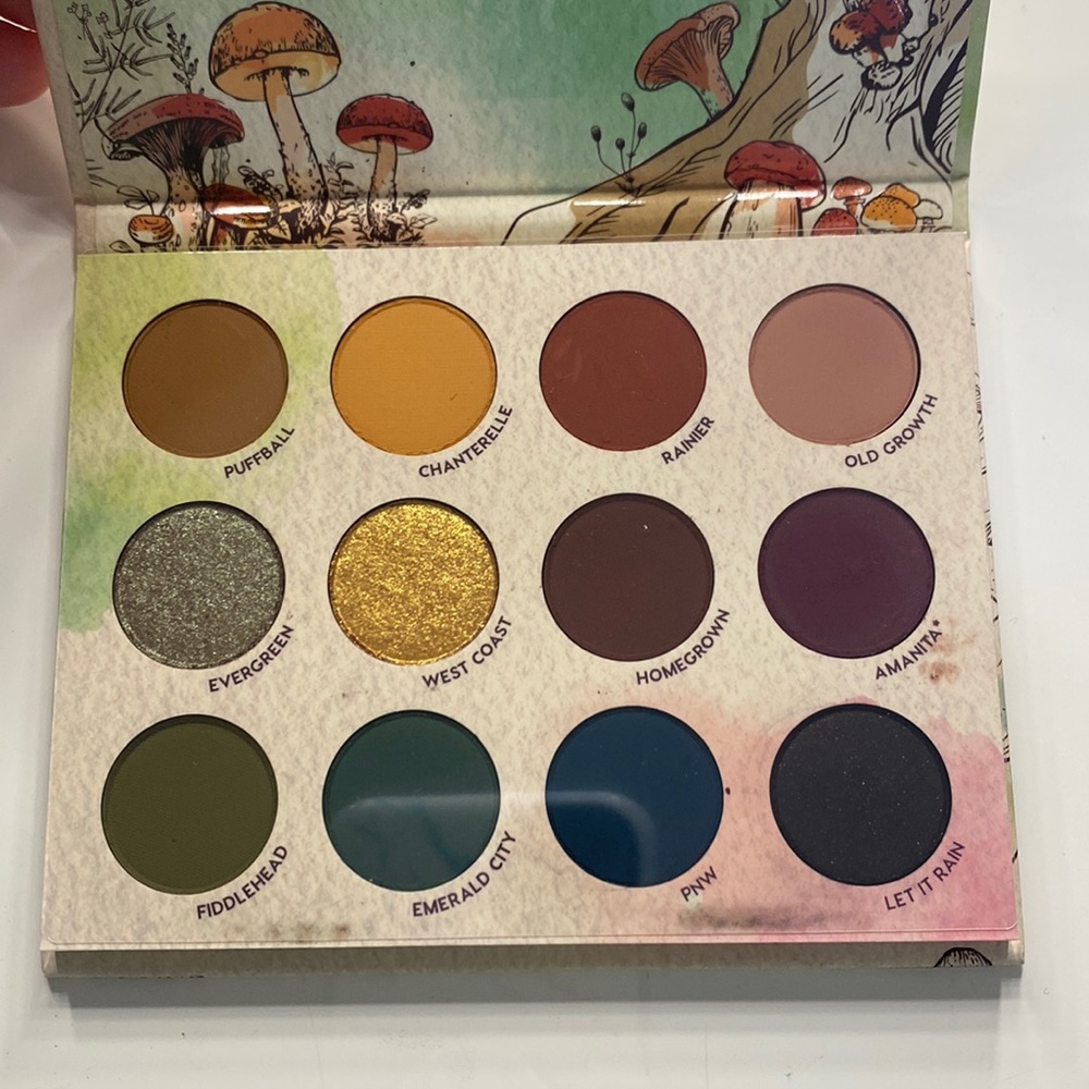 Colourpop x RawBeautyKristi At Forest Sight palette